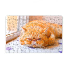 Пазл магнитный 126 элементов с принтом Рыжий кот в Тюмени, полимерный материал с магнитным слоем | 126 деталей, размер изделия —  180*270 мм | Тематика изображения на принте: кот | кошка | милая | рыжий