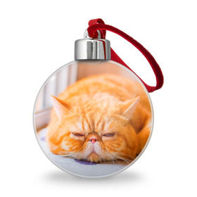 Ёлочный шар с принтом Рыжий кот в Тюмени, Пластик | Диаметр: 77 мм | кот | кошка | милая | рыжий