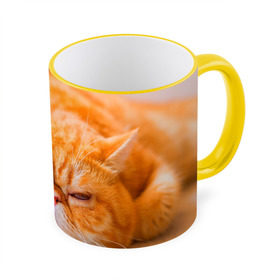 Кружка 3D с принтом Рыжий кот в Тюмени, керамика | ёмкость 330 мл | Тематика изображения на принте: кот | кошка | милая | рыжий