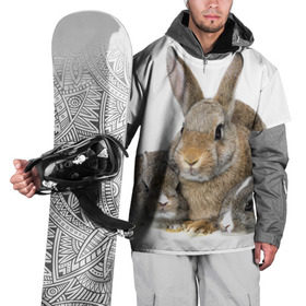 Накидка на куртку 3D с принтом Кролики в Тюмени, 100% полиэстер |  | animals | bunnies | cute | eared | family | fluffy | kids | mom | rabbits | животные | зайцы | кролики | малыши | мама | милые | пушистые | семья | ушастые