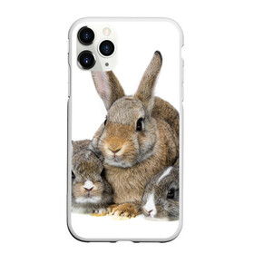 Чехол для iPhone 11 Pro матовый с принтом Кролики в Тюмени, Силикон |  | Тематика изображения на принте: animals | bunnies | cute | eared | family | fluffy | kids | mom | rabbits | животные | зайцы | кролики | малыши | мама | милые | пушистые | семья | ушастые