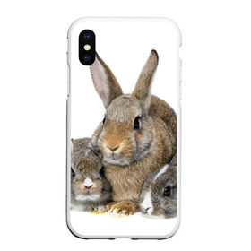 Чехол для iPhone XS Max матовый с принтом Кролики в Тюмени, Силикон | Область печати: задняя сторона чехла, без боковых панелей | animals | bunnies | cute | eared | family | fluffy | kids | mom | rabbits | животные | зайцы | кролики | малыши | мама | милые | пушистые | семья | ушастые