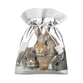 Подарочный 3D мешок с принтом Кролики в Тюмени, 100% полиэстер | Размер: 29*39 см | animals | bunnies | cute | eared | family | fluffy | kids | mom | rabbits | животные | зайцы | кролики | малыши | мама | милые | пушистые | семья | ушастые