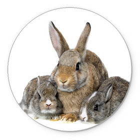 Коврик круглый с принтом Кролики в Тюмени, резина и полиэстер | круглая форма, изображение наносится на всю лицевую часть | animals | bunnies | cute | eared | family | fluffy | kids | mom | rabbits | животные | зайцы | кролики | малыши | мама | милые | пушистые | семья | ушастые