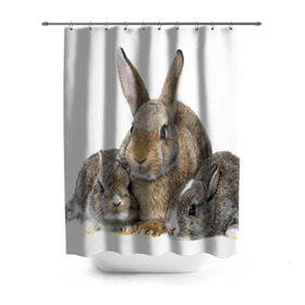Штора 3D для ванной с принтом Кролики в Тюмени, 100% полиэстер | плотность материала — 100 г/м2. Стандартный размер — 146 см х 180 см. По верхнему краю — пластиковые люверсы для креплений. В комплекте 10 пластиковых колец | animals | bunnies | cute | eared | family | fluffy | kids | mom | rabbits | животные | зайцы | кролики | малыши | мама | милые | пушистые | семья | ушастые