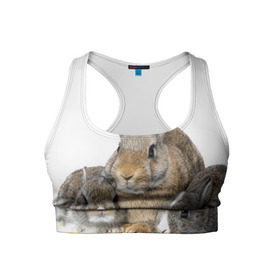 Женский спортивный топ 3D с принтом Кролики в Тюмени, 82% полиэстер, 18% спандекс Ткань безопасна для здоровья, позволяет коже дышать, не мнется и не растягивается |  | animals | bunnies | cute | eared | family | fluffy | kids | mom | rabbits | животные | зайцы | кролики | малыши | мама | милые | пушистые | семья | ушастые