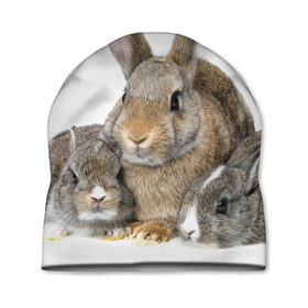 Шапка 3D с принтом Кролики в Тюмени, 100% полиэстер | универсальный размер, печать по всей поверхности изделия | animals | bunnies | cute | eared | family | fluffy | kids | mom | rabbits | животные | зайцы | кролики | малыши | мама | милые | пушистые | семья | ушастые