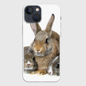 Чехол для iPhone 13 mini с принтом Кролики в Тюмени,  |  | animals | bunnies | cute | eared | family | fluffy | kids | mom | rabbits | животные | зайцы | кролики | малыши | мама | милые | пушистые | семья | ушастые