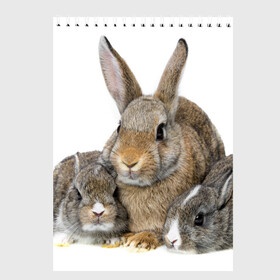 Скетчбук с принтом Кролики в Тюмени, 100% бумага
 | 48 листов, плотность листов — 100 г/м2, плотность картонной обложки — 250 г/м2. Листы скреплены сверху удобной пружинной спиралью | animals | bunnies | cute | eared | family | fluffy | kids | mom | rabbits | животные | зайцы | кролики | малыши | мама | милые | пушистые | семья | ушастые