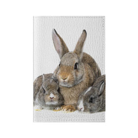 Обложка для паспорта матовая кожа с принтом Кролики в Тюмени, натуральная матовая кожа | размер 19,3 х 13,7 см; прозрачные пластиковые крепления | Тематика изображения на принте: animals | bunnies | cute | eared | family | fluffy | kids | mom | rabbits | животные | зайцы | кролики | малыши | мама | милые | пушистые | семья | ушастые