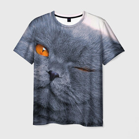 Мужская футболка 3D с принтом Кот в Тюмени, 100% полиэфир | прямой крой, круглый вырез горловины, длина до линии бедер | британский | взгляд | глаза | животные | кот
