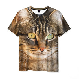 Мужская футболка 3D с принтом Кот в Тюмени, 100% полиэфир | прямой крой, круглый вырез горловины, длина до линии бедер | animal | cat | eyes | face | head | kote | mustache | pet | взгляд | глаза | голова | домашнее | животное | кот | котэ | кошка | усы