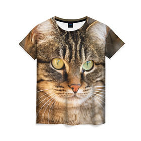 Женская футболка 3D с принтом Кот в Тюмени, 100% полиэфир ( синтетическое хлопкоподобное полотно) | прямой крой, круглый вырез горловины, длина до линии бедер | animal | cat | eyes | face | head | kote | mustache | pet | взгляд | глаза | голова | домашнее | животное | кот | котэ | кошка | усы