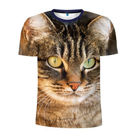 Мужская футболка 3D спортивная с принтом Кот в Тюмени, 100% полиэстер с улучшенными характеристиками | приталенный силуэт, круглая горловина, широкие плечи, сужается к линии бедра | animal | cat | eyes | face | head | kote | mustache | pet | взгляд | глаза | голова | домашнее | животное | кот | котэ | кошка | усы