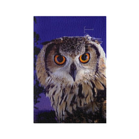 Обложка для паспорта матовая кожа с принтом Сова в ночи в Тюмени, натуральная матовая кожа | размер 19,3 х 13,7 см; прозрачные пластиковые крепления | животные | ночь | птица | сова