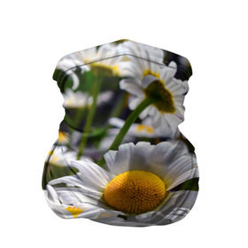 Бандана-труба 3D с принтом Ромашки в Тюмени, 100% полиэстер, ткань с особыми свойствами — Activecool | плотность 150‒180 г/м2; хорошо тянется, но сохраняет форму | желтая | лепесток | природа | ромашка | цветок | яркая