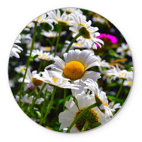 Коврик круглый с принтом Ромашки в Тюмени, резина и полиэстер | круглая форма, изображение наносится на всю лицевую часть | желтая | лепесток | природа | ромашка | цветок | яркая