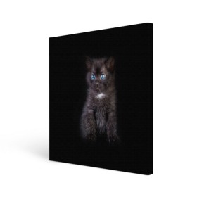Холст квадратный с принтом Чёрный котёнок в Тюмени, 100% ПВХ |  | Тематика изображения на принте: киска | кот | кошка