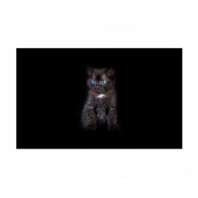 Бумага для упаковки 3D с принтом Чёрный котёнок в Тюмени, пластик и полированная сталь | круглая форма, металлическое крепление в виде кольца | Тематика изображения на принте: киска | кот | кошка