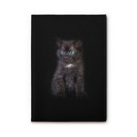 Обложка для автодокументов с принтом Чёрный котёнок в Тюмени, натуральная кожа |  размер 19,9*13 см; внутри 4 больших “конверта” для документов и один маленький отдел — туда идеально встанут права | киска | кот | кошка