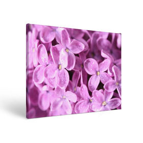 Холст прямоугольный с принтом Цветы сирени в Тюмени, 100% ПВХ |  | Тематика изображения на принте: девушкам | сирень | цветы