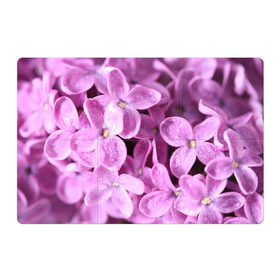 Магнитный плакат 3Х2 с принтом Цветы сирени в Тюмени, Полимерный материал с магнитным слоем | 6 деталей размером 9*9 см | Тематика изображения на принте: девушкам | сирень | цветы