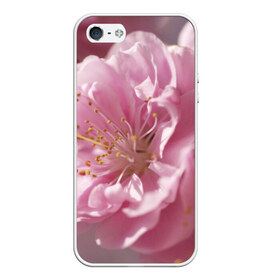 Чехол для iPhone 5/5S матовый с принтом Розовые цветы в Тюмени, Силикон | Область печати: задняя сторона чехла, без боковых панелей | девушкам | розы | цветочки | цветы