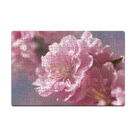 Пазл магнитный 126 элементов с принтом Розовые цветы в Тюмени, полимерный материал с магнитным слоем | 126 деталей, размер изделия —  180*270 мм | девушкам | розы | цветочки | цветы