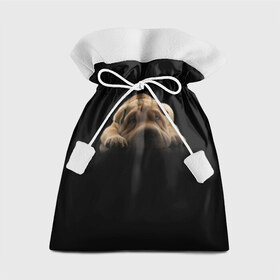 Подарочный 3D мешок с принтом Щенок Sharpey в Тюмени, 100% полиэстер | Размер: 29*39 см | Тематика изображения на принте: кутёнок | прикольные картинки | собака | шарпей | щенок