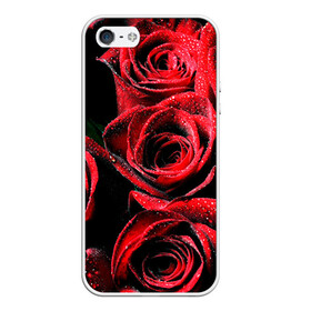 Чехол для iPhone 5/5S матовый с принтом Розы в Тюмени, Силикон | Область печати: задняя сторона чехла, без боковых панелей | алый | красный | роса | фото | цветы