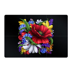 Магнитный плакат 3Х2 с принтом Композиция цветов в Тюмени, Полимерный материал с магнитным слоем | 6 деталей размером 9*9 см | Тематика изображения на принте: композиция | мак | ромашки | цветы