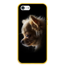 Чехол для iPhone 5/5S матовый с принтом Чихуахуа в Тюмени, Силикон | Область печати: задняя сторона чехла, без боковых панелей | Тематика изображения на принте: голова животного | прикольные картинки | собака | чихуахуа | щенок