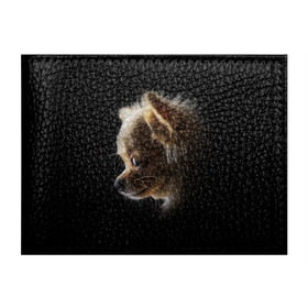 Обложка для студенческого билета с принтом Чихуахуа в Тюмени, натуральная кожа | Размер: 11*8 см; Печать на всей внешней стороне | Тематика изображения на принте: голова животного | прикольные картинки | собака | чихуахуа | щенок