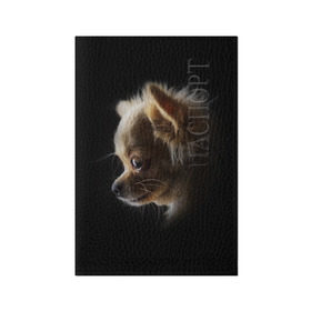 Обложка для паспорта матовая кожа с принтом Чихуахуа в Тюмени, натуральная матовая кожа | размер 19,3 х 13,7 см; прозрачные пластиковые крепления | Тематика изображения на принте: голова животного | прикольные картинки | собака | чихуахуа | щенок