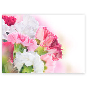Поздравительная открытка с принтом Белые и розовые цветы в Тюмени, 100% бумага | плотность бумаги 280 г/м2, матовая, на обратной стороне линовка и место для марки
 | лепестки | прикольные картинки | цветочки | цветы