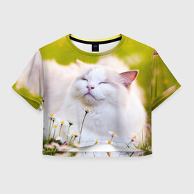 Женская футболка 3D укороченная с принтом Белая киса в Тюмени, 100% полиэстер | круглая горловина, длина футболки до линии талии, рукава с отворотами | cat | киса | котенок | кошка | лето | ромашки | солнце