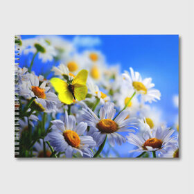 Альбом для рисования с принтом Ромашки и бабочка в Тюмени, 100% бумага
 | матовая бумага, плотность 200 мг. | бабочки | лето | природа | ромашки | цветы