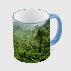 Кружка 3D с принтом Потрясающие тропики в Тюмени, керамика | ёмкость 330 мл | деревья | джунгли | зелень | красиво | лес | пейзаж | фото
