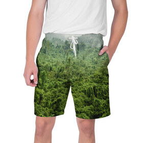 Мужские шорты 3D с принтом Потрясающие тропики в Тюмени,  полиэстер 100% | прямой крой, два кармана без застежек по бокам. Мягкая трикотажная резинка на поясе, внутри которой широкие завязки. Длина чуть выше колен | Тематика изображения на принте: деревья | джунгли | зелень | красиво | лес | пейзаж | фото