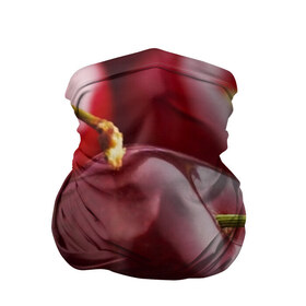 Бандана-труба 3D с принтом Черешня в Тюмени, 100% полиэстер, ткань с особыми свойствами — Activecool | плотность 150‒180 г/м2; хорошо тянется, но сохраняет форму | вишня | черешня