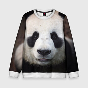 Детский свитшот 3D с принтом Милая панда в Тюмени, 100% полиэстер | свободная посадка, прямой крой, мягкая тканевая резинка на рукавах и понизу свитшота | Тематика изображения на принте: animal | hunny | panda | животные | классная | милая | милота | панда | фото | хорошая