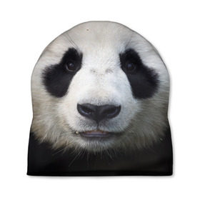 Шапка 3D с принтом Милая панда в Тюмени, 100% полиэстер | универсальный размер, печать по всей поверхности изделия | animal | hunny | panda | животные | классная | милая | милота | панда | фото | хорошая