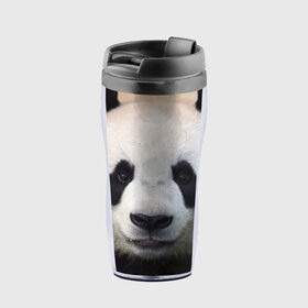 Термокружка-непроливайка с принтом Милая панда в Тюмени, внутренняя часть — пищевой пластик, наружная часть — прозрачный пластик, между ними — полиграфическая вставка с рисунком | объем — 350 мл, герметичная крышка | animal | hunny | panda | животные | классная | милая | милота | панда | фото | хорошая