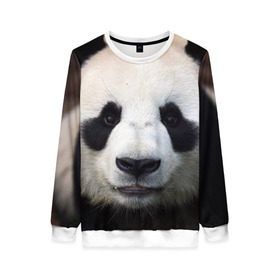 Женский свитшот 3D с принтом Милая панда в Тюмени, 100% полиэстер с мягким внутренним слоем | круглый вырез горловины, мягкая резинка на манжетах и поясе, свободная посадка по фигуре | animal | hunny | panda | животные | классная | милая | милота | панда | фото | хорошая