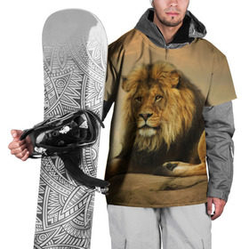 Накидка на куртку 3D с принтом Величиственый лев в Тюмени, 100% полиэстер |  | царь зверей