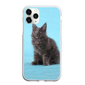 Чехол для iPhone 11 Pro матовый с принтом Кот мейн кун в Тюмени, Силикон |  | котенок | мейнкун