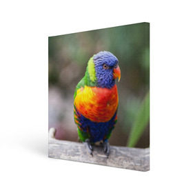 Холст квадратный с принтом Попугай в Тюмени, 100% ПВХ |  | пернатые | попугай | прикольные картинки | природа | птица