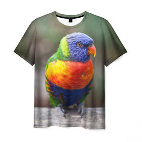 Мужская футболка 3D с принтом Попугай в Тюмени, 100% полиэфир | прямой крой, круглый вырез горловины, длина до линии бедер | пернатые | попугай | прикольные картинки | природа | птица
