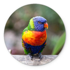 Коврик круглый с принтом Попугай в Тюмени, резина и полиэстер | круглая форма, изображение наносится на всю лицевую часть | пернатые | попугай | прикольные картинки | природа | птица