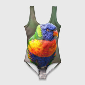 Купальник-боди 3D с принтом Попугай в Тюмени, 82% полиэстер, 18% эластан | Круглая горловина, круглый вырез на спине | пернатые | попугай | прикольные картинки | природа | птица